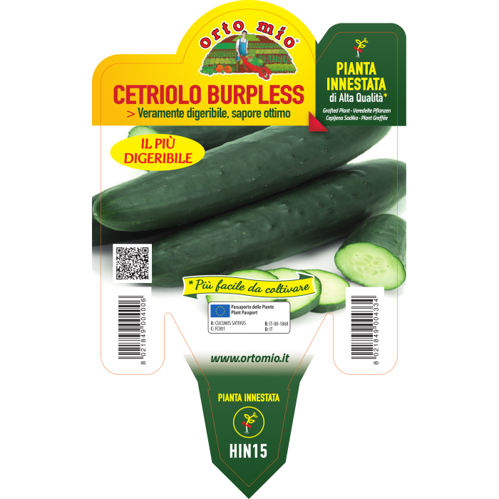 PEPINO BURPLESS var. TASTY KING F1 TOP