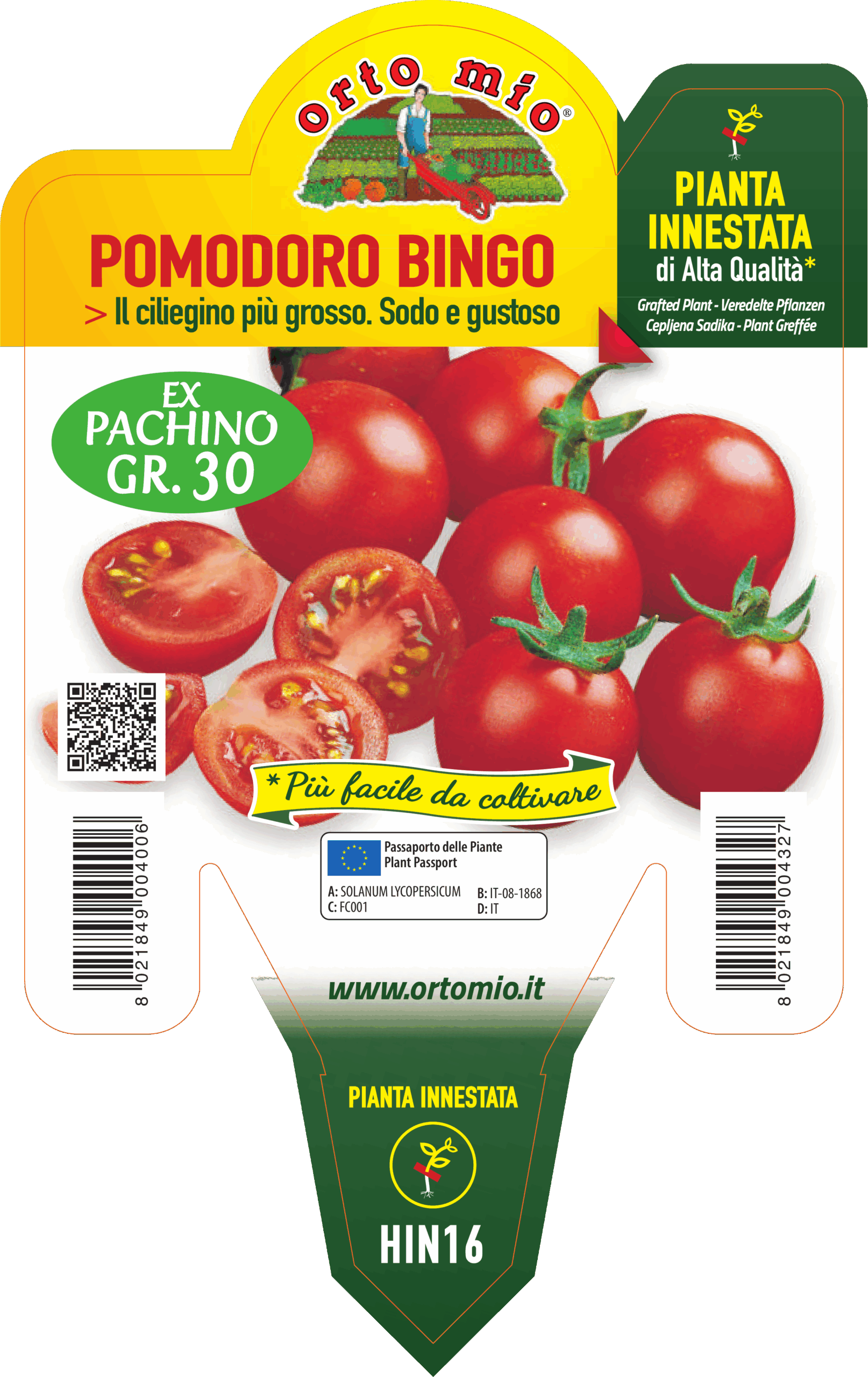 TOMATE CEREZA BINGO var. TWITTER (ex Pachino) - Imagen 2