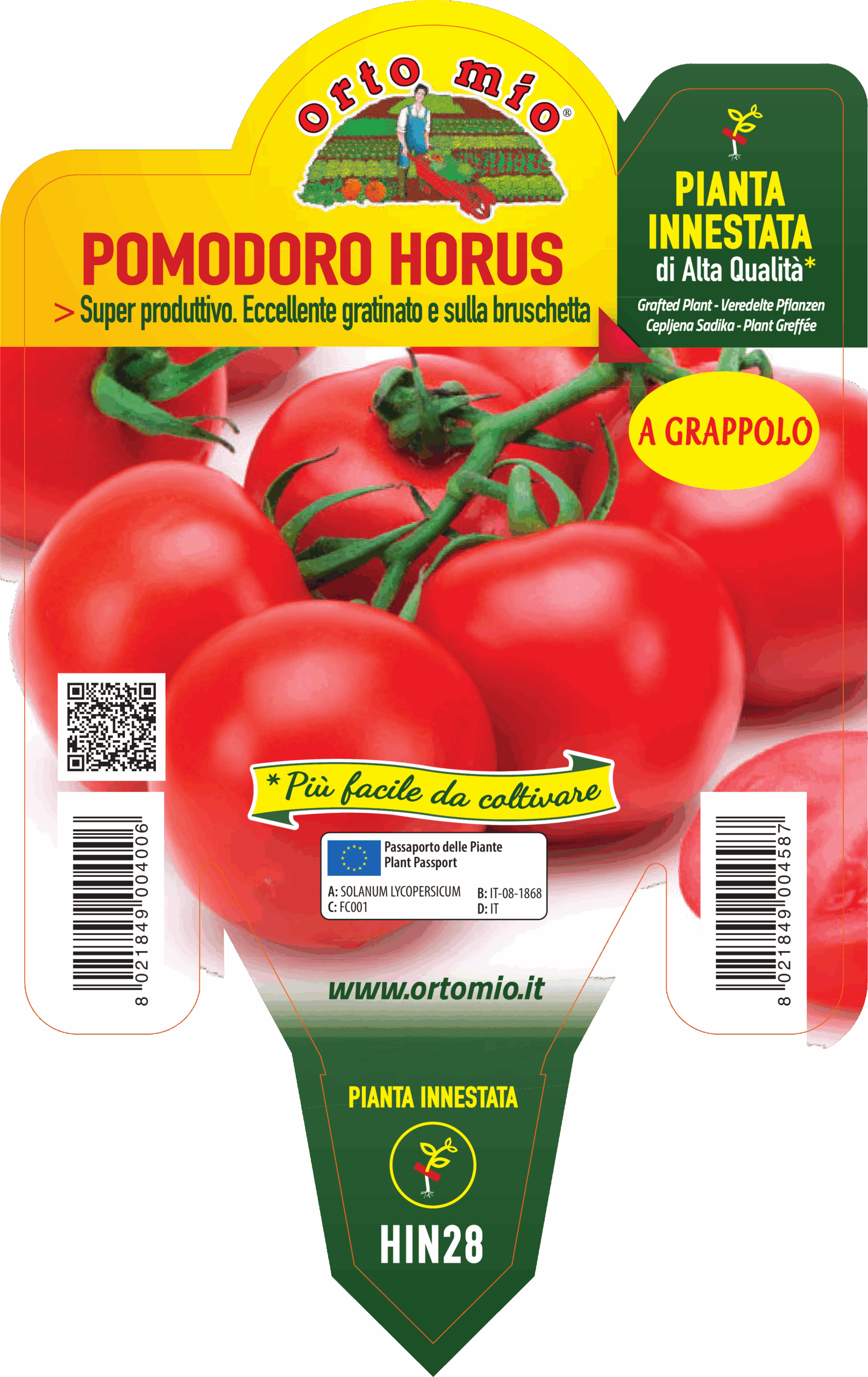 TOMATE REDONDO EN RACIMO var. HORUS F1 - Imagen 2