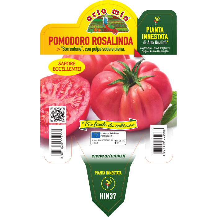 TOMATE GIGANTE DE SORRENTO var. ROSALINDA F1 - Imagen 2
