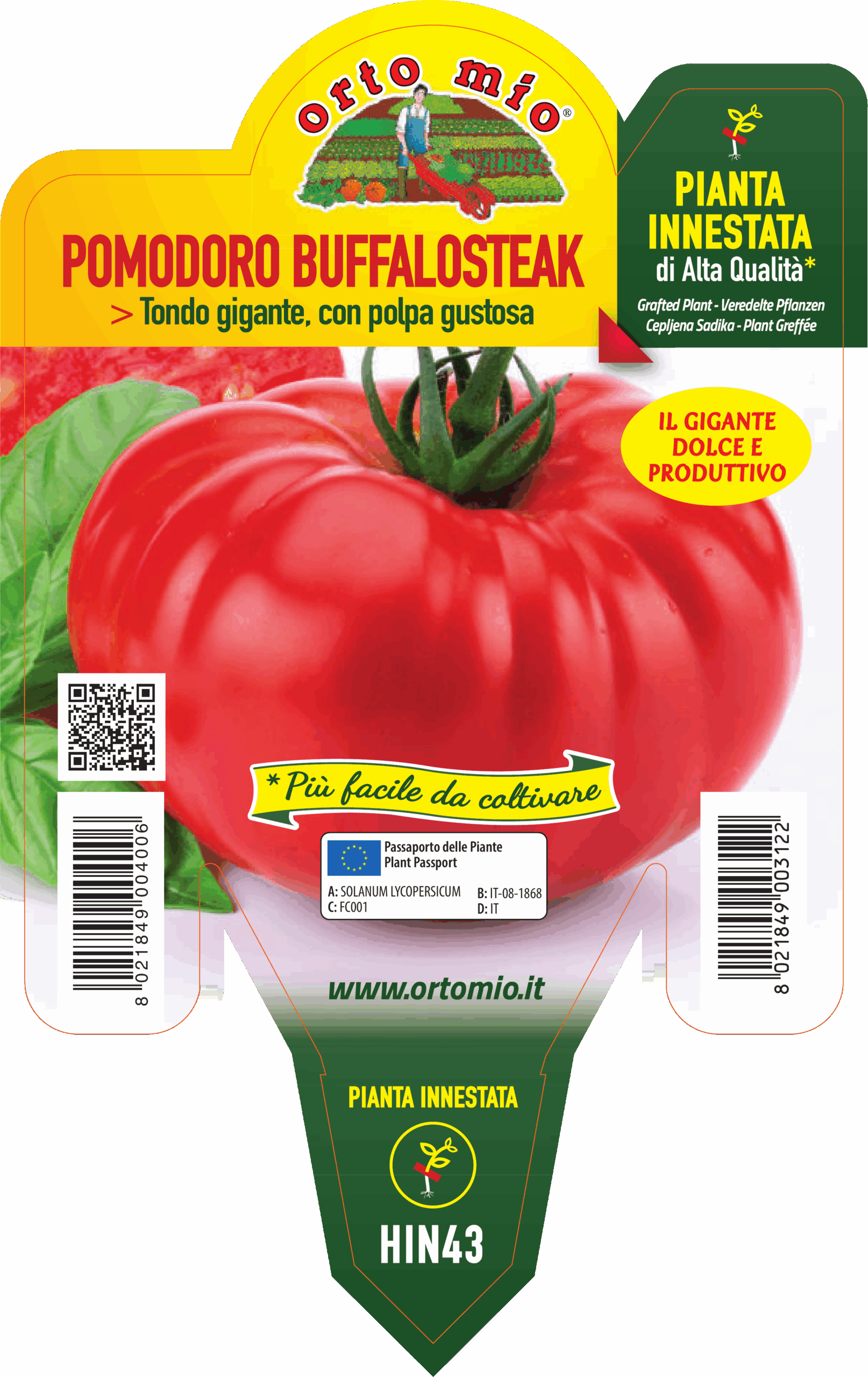 TOMATE REDONDO GIGANTE var. BUFFALOSTEAK F1 - Imagen 2