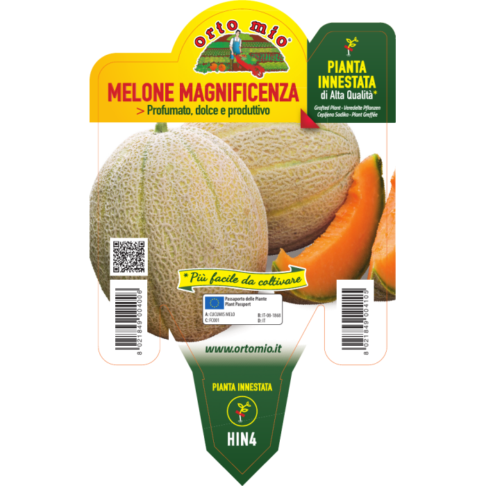 MELON RAYADO DULCE var. MAGNIFICENZA F1