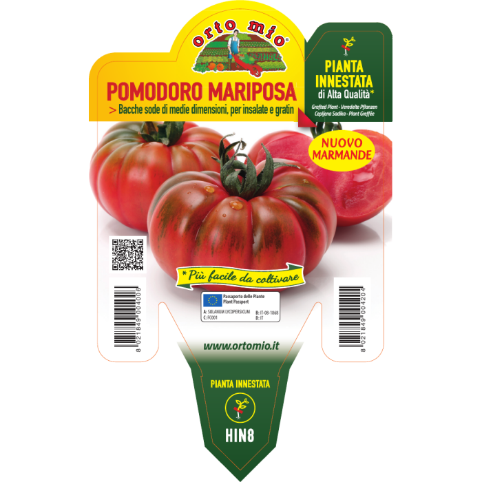 TOMATE MARMANDE var. MARIPOSA F1 - Imagen 2