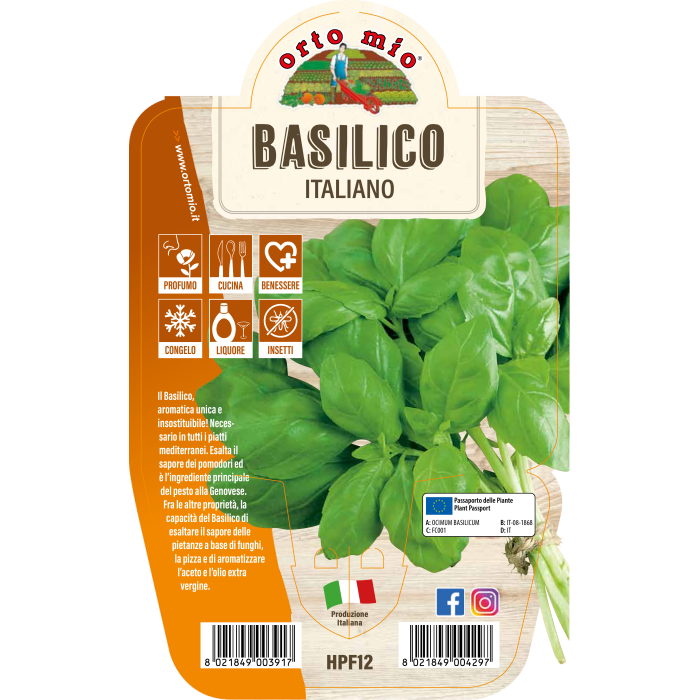 AROMÁTICA ALBAHACA ITALIANA GENOVESE