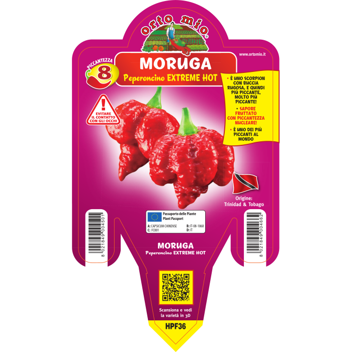 PIMIENTO EXTREMADAMENTE PICANTE MORUGA SCORPION ROJO