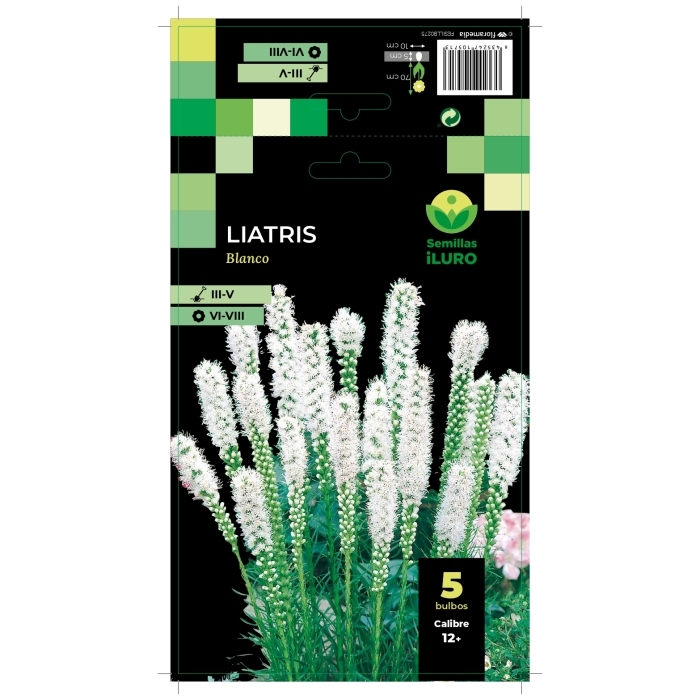 LIATRIS BLANCO