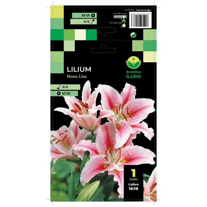 LILIUM MONA LISA