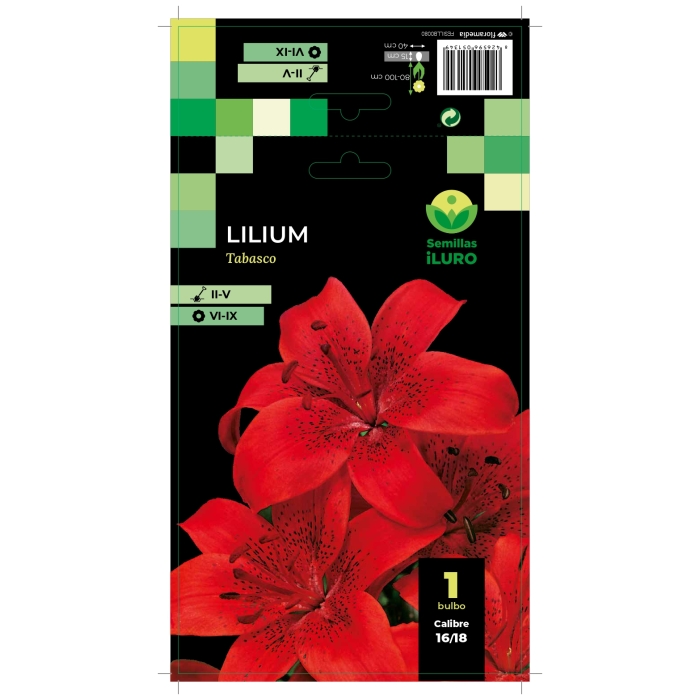LILIUM TABASCO