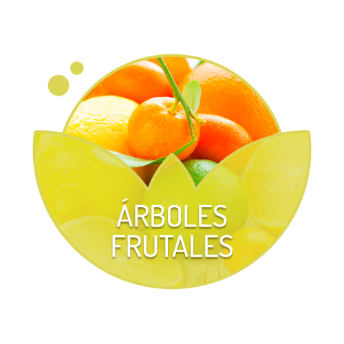 Árboles frutales