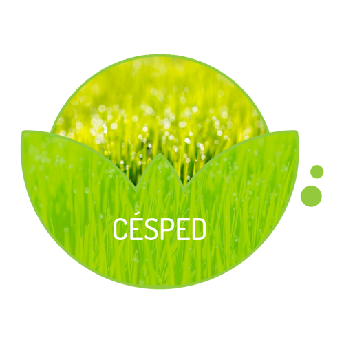 Césped
