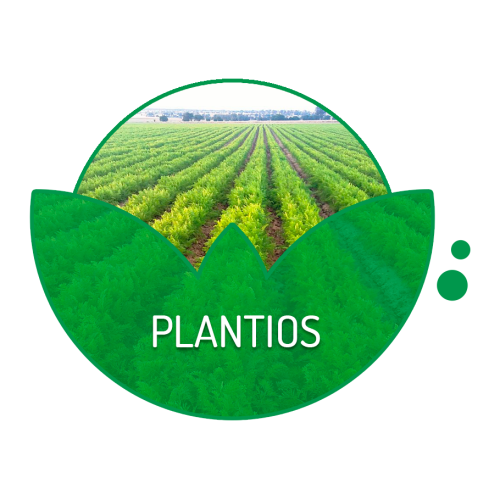 Plantíos