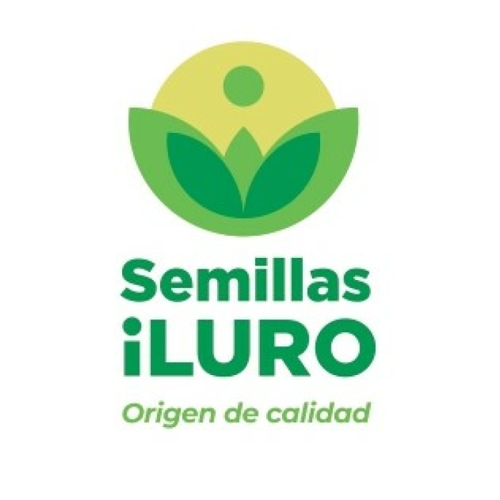 CEBOLLA SHALLOTS 500GR