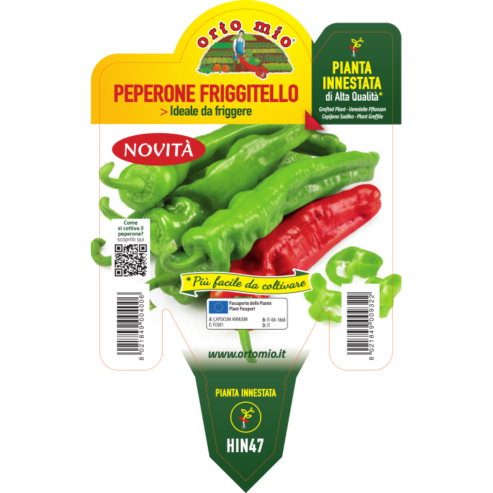 PIMIENTO PARA FREIR var. TORRICELLO F1 - Imagen 2