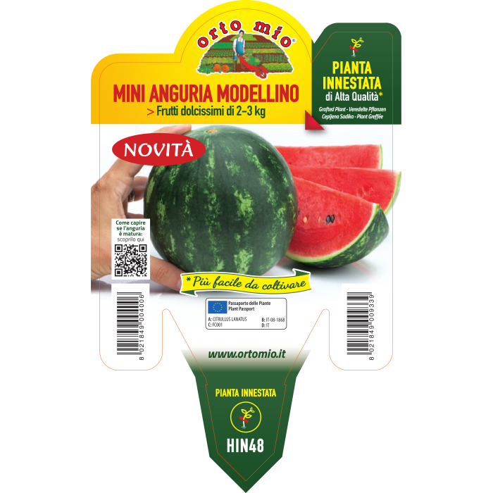 SANDIA MINI MODELLINO var. COMETA F1
