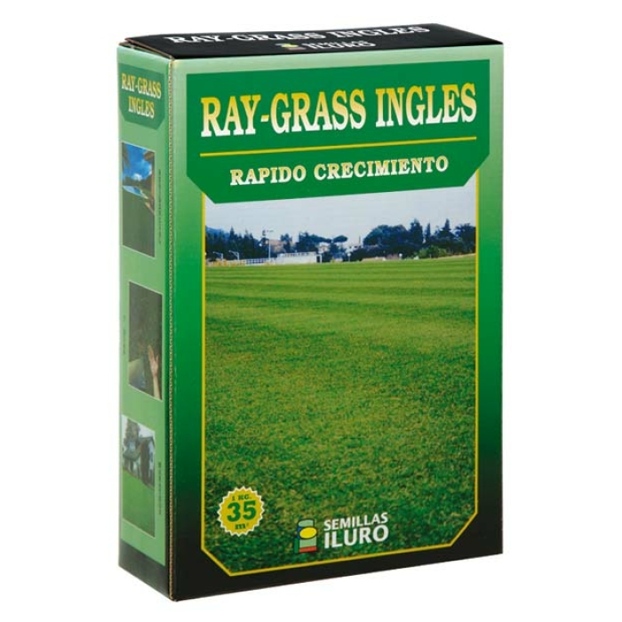 RAY-GRASS INGLÉS, 1 KILO