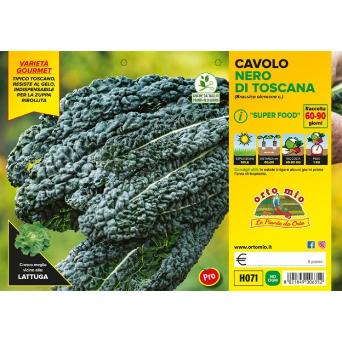 COL NEGRA TOSCANA var. YUROK F1
