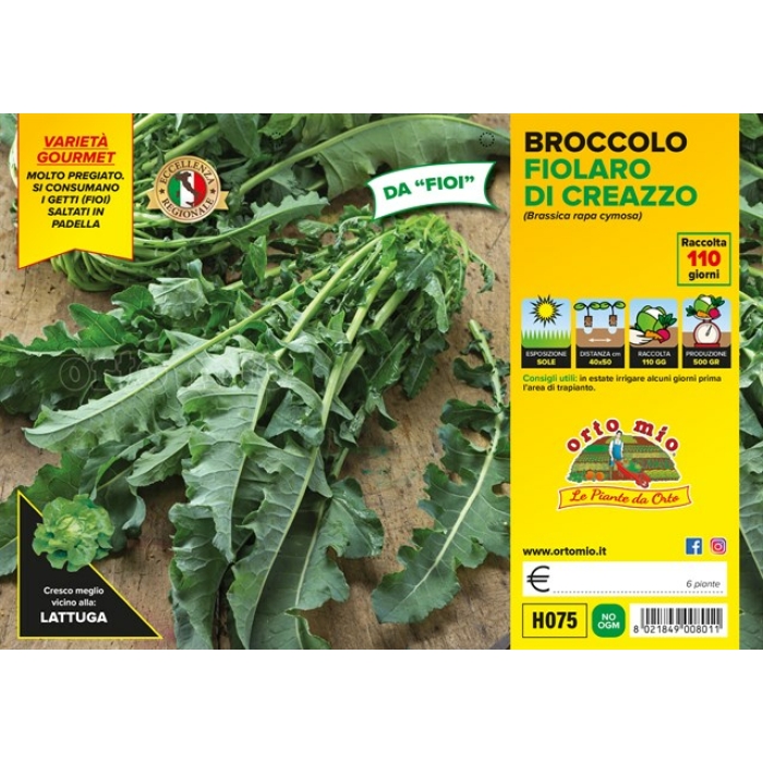BROCOLI BROTES FIOLARO DE CREAZZO