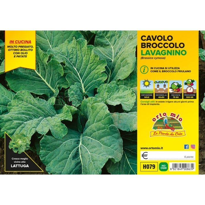 BROCOLI LAVAGNINO