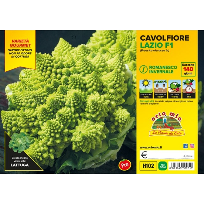 COLIFLOR VERDE ROMANESCO INVERNAL var. LAZIO F1