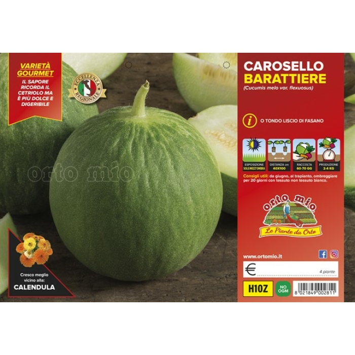 PEPINO CAROSELLO BARATTIERE O REDONDO DE FASANO