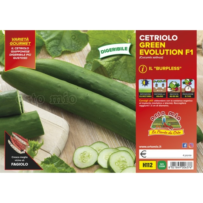 PEPINO LARGO DIGERIBLE var. BURPLESS F1