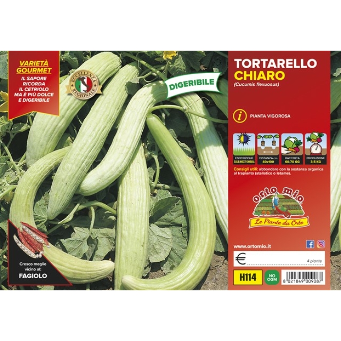 PEPINO TORTARELLO CLARO