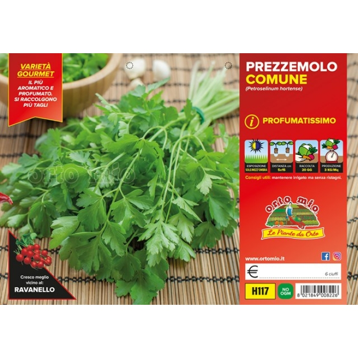 PEREJIL COMÚN PERFUMADO