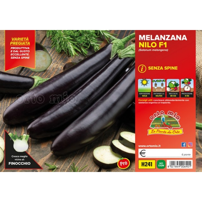 BERENJENA LARGA NEGRA var. NILO F1