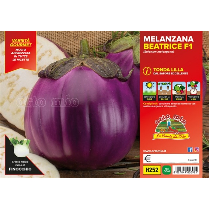 BERENJENA REDONDA VIOLETA var.BEATRICE F1