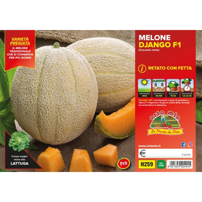 MELON RAYADO CON RODAJA var. MAGNIFICENCIA F1