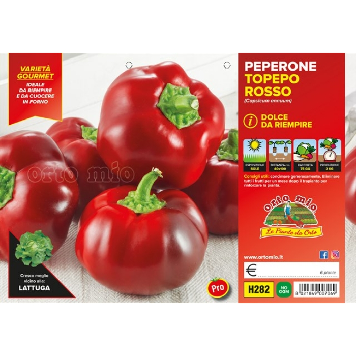 PIMIENTO DE RELLENO TOPEPO var. INDUS F1