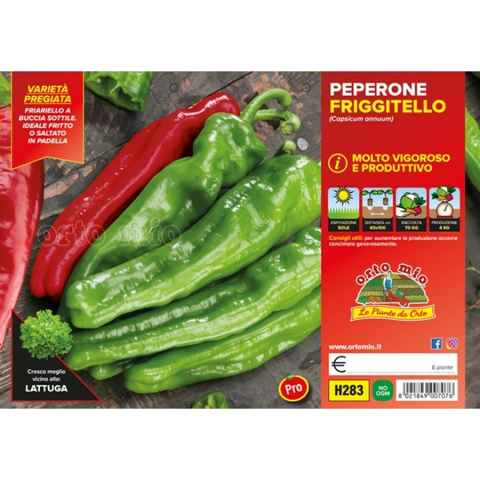 PIMIENTO FRIGITELLO var. TORRICELLO F1
