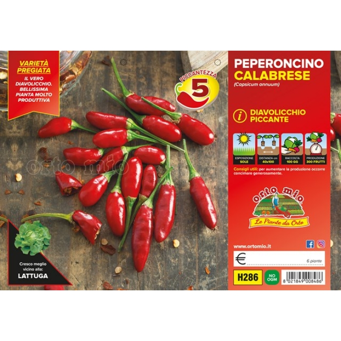 PIMIENTO PICANTE CALABRESE DIAVOLICCHIO var. ITALICO F1