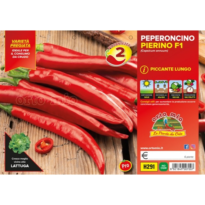 PIMIENTO PICANTE LARGO var. ROMITAL F1