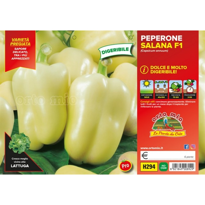 PIMIENTO DIGERIBLE CITRINO SALANA var. LAGUNA F1