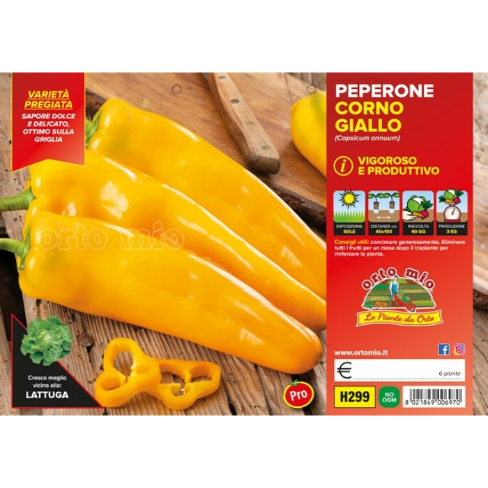 PIMIENTO CUERNO DE TORO AMARILLO var. ASTOR F1