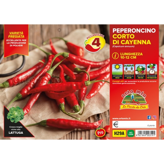 PIMIENTO PICANTE CAYENA CORTO var. CHEYENNE F1
