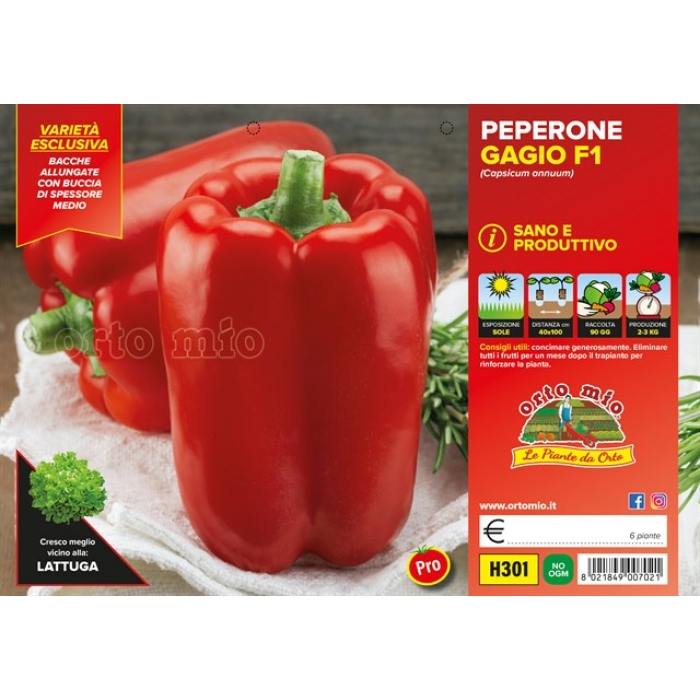 PIMIENTO CUADRADO ROJO var. FENOMENO F1