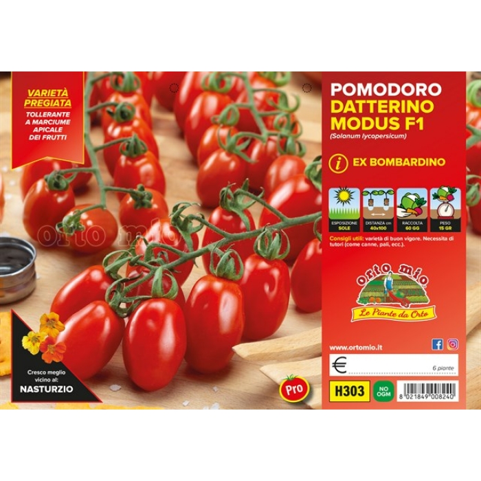 TOMATE CHERRY ADATILADO TODO ROJO var BOMBARDINO F1