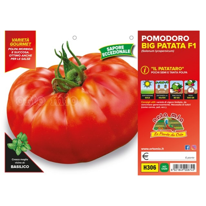 TOMATE PATATERO GIGANTE var. OR PATATARO