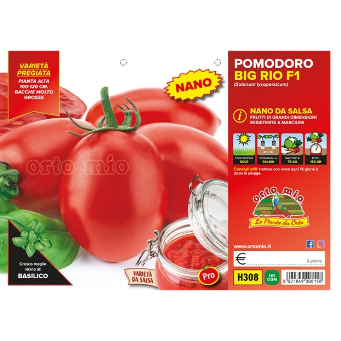 TOMATE OVAL var. BIG RIO F1