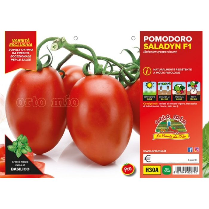 TOMATE DE SALSA DE EMPALAR var. ROSSANO F1