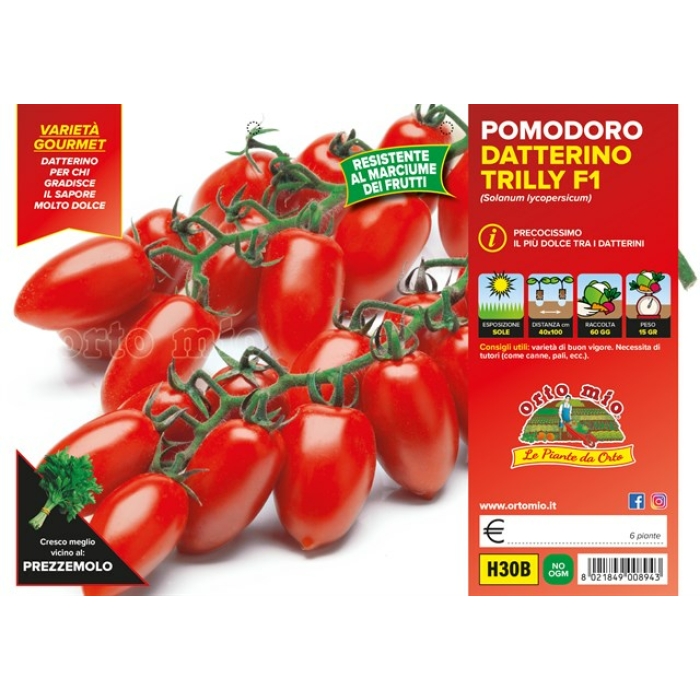 TOMATE CHERRY ADITALADO BABY var. TRILLY F1