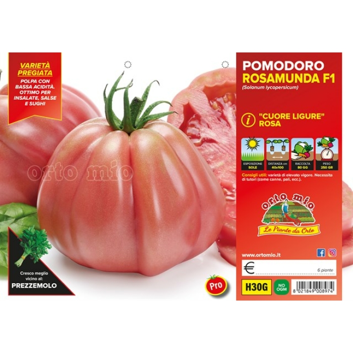 TOMATE CORAZÓN DE BUEY LIGURE ROSA var. ROSAMUNDA F1