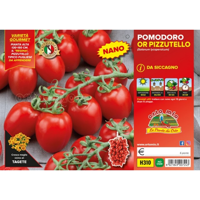 TOMATE PIZZUTELLO DE COLGAR PENNY F1
