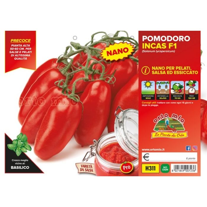 TOMATE LARGO DE CONSERVA SALSA var. INCAS F1