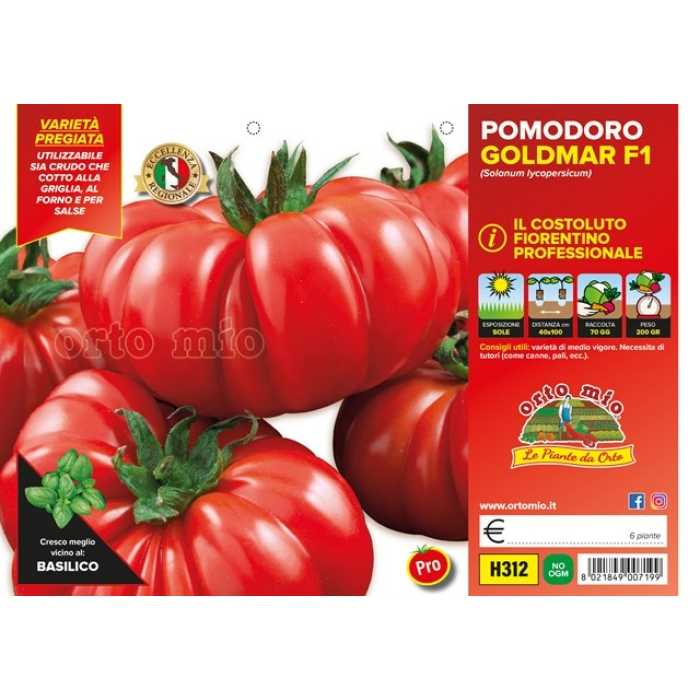 TOMATE SUPERESTRIADO FIORENTINO var. SUCCESSO F1