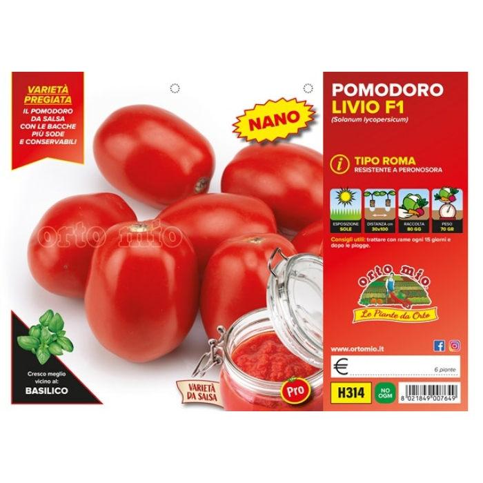 TOMATE ROMA var. LIVIO F1