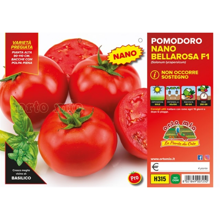 TOMATE RED. ENANO var. BELLAROSA F1