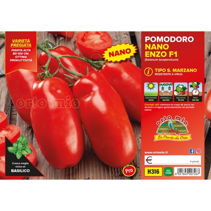 TOMATE SAN MANZANO ENANO var. ENZO F1